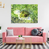 FroschAugen Leinwanddruck (Insitu (Wohnzimmer))