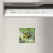 FroschAugen Magnet (In Situ (Geschirrspüler))