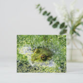 FroschAugen Postkarte (Stehend Vorderseite)