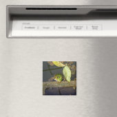 Froschbeobachtung, Magnet (In Situ (Geschirrspüler))