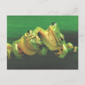 Froschbrüder-Postkarte Postkarte