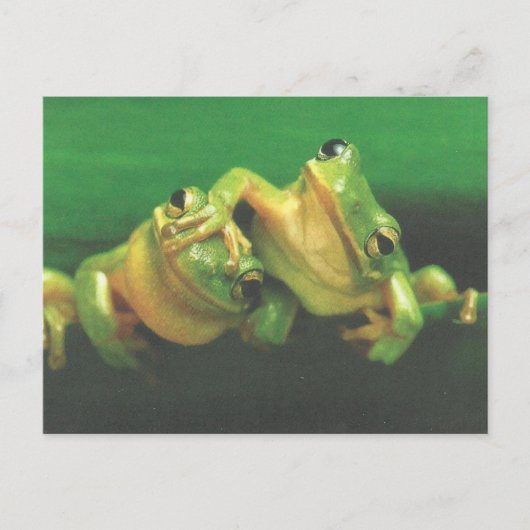Froschbrüder-Postkarte Postkarte (Vorderseite)