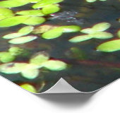 Froschdruck Poster (Ecke)