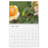 Frösche 2009 kalender (Mär 2027)