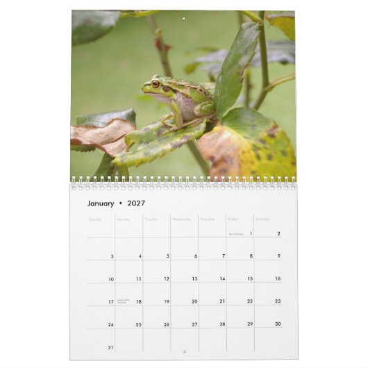 Frösche 2009 kalender (Jan 2027)