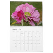 Frösche 2009 kalender (Feb 2027)