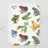 Frösche auf natürlichem Weiß (Vorderseite)