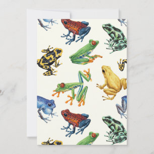 Frösche auf natürlichem Weiß