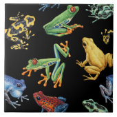 Frösche auf schwarz fliese (Vorderseite)