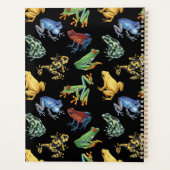 Frösche auf schwarz planer (Rückseite)