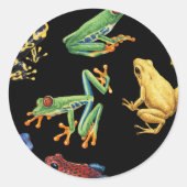 Frösche auf schwarz runder aufkleber (Vorderseite)