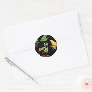 Frösche auf schwarz runder aufkleber