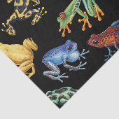 Frösche auf schwarz seidenpapier (Ausschnitt)