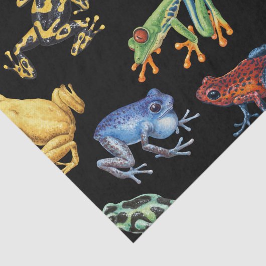 Frösche auf schwarz seidenpapier (Ausschnitt)