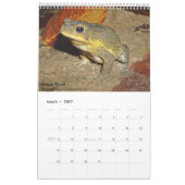 Frösche aus Singapur - Kalender 2017 (Mär 2027)