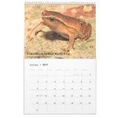 Frösche aus Singapur - Kalender 2017 (Jan 2027)