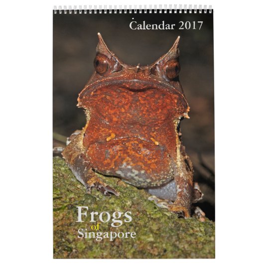 Frösche aus Singapur - Kalender 2017 (Titelbild)