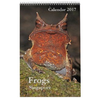 Frösche aus Singapur - Kalender 2017