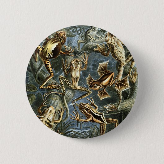 Frösche Button (Vorderseite)