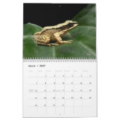 Frösche des Weltkalenders Kalender (Mär 2027)