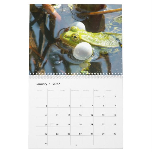 Frösche des Weltkalenders Kalender (Jan 2027)