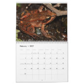 Frösche des Weltkalenders Kalender (Feb 2027)