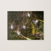 Frösche, Frösche und mehr Frösche Puzzle (Horizontal)