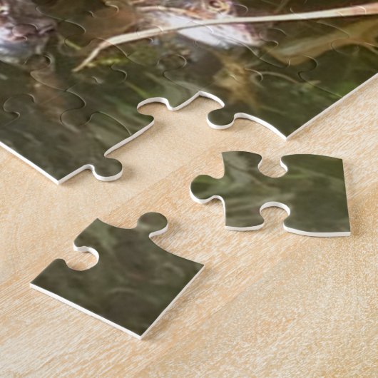 Frösche, Frösche und mehr Frösche Puzzle (Seite)