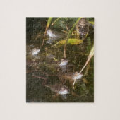 Frösche, Frösche und mehr Frösche Puzzle (Vertikal)