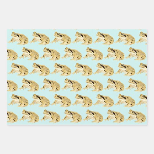 Frösche Geschenkpapier Set (Vorderseite 3)