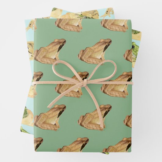 Frösche Geschenkpapier Set (Beispiel)