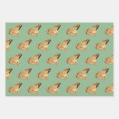 Frösche Geschenkpapier Set (Vorderseite)