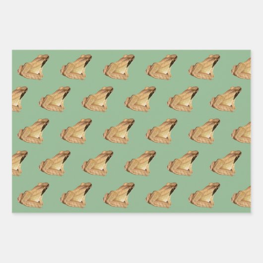 Frösche Geschenkpapier Set (Vorderseite)