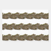 Frösche Geschenkpapier Set (Vorderseite 3)