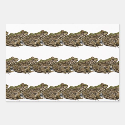 Frösche Geschenkpapier Set (Vorderseite 3)