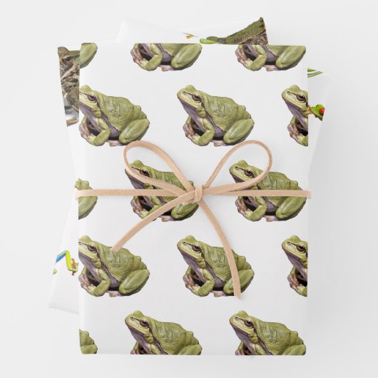 Frösche Geschenkpapier Set (Beispiel)
