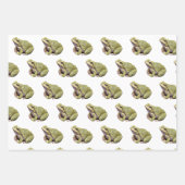 Frösche Geschenkpapier Set (Vorderseite)