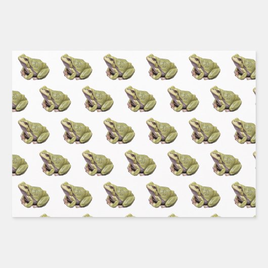 Frösche Geschenkpapier Set (Vorderseite)
