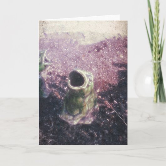 Frösche im Garten Karte (Vorderseite)