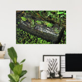 Frösche im Log Poster (Heimbüro)