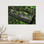 Frösche im Log Poster (Küche)