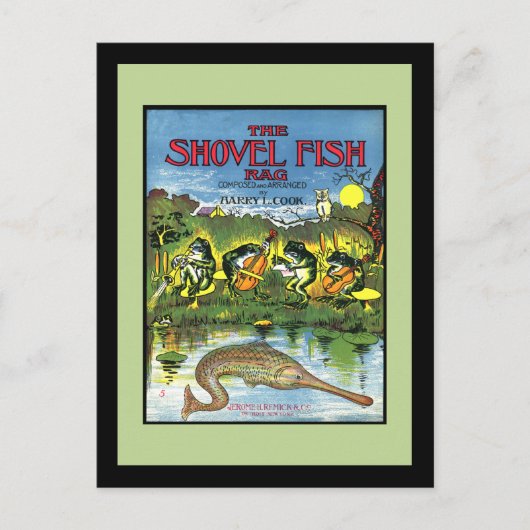 Frösche in Band Postkarte (Vorderseite)