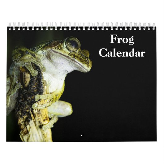Frösche Kalender 2027 (Titelbild)