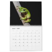 Frösche Kalender 2027 (Mär 2027)