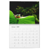 Frösche Kalender 2027 (Jan 2027)