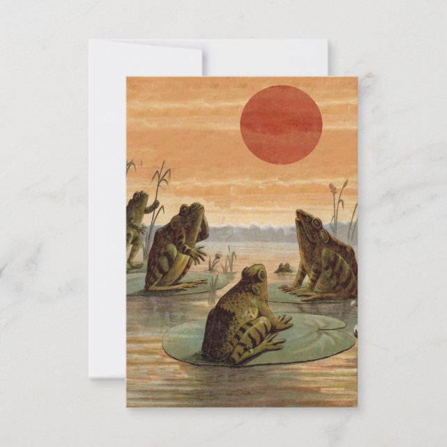 Frösche Lily Pads Moon Illustration (Vorderseite)