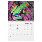Frösche-Mauerkalender Kalender (Feb 2027)