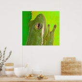 Frösche Poster (Küche)