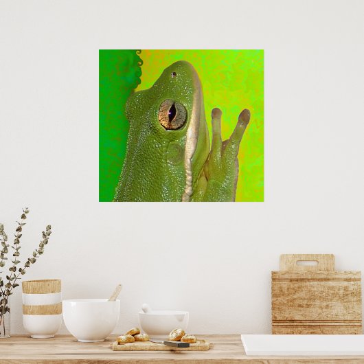 Frösche Poster (Küche)