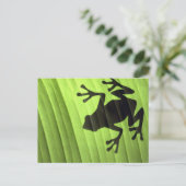 Frösche Postkarte (Stehend Vorderseite)